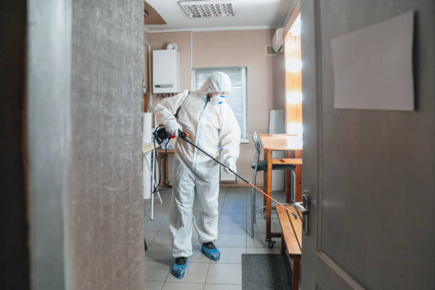 Plattsburgh West, NY Mold Removal Company